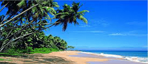 Sun and beach